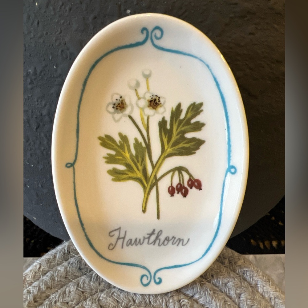 Creative Co-op Small White With Flower Graphic Ceramic Trinket Dish